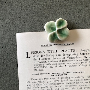 May include: A vintage book titled "Lessons with Plants: Suggestions for Seeing and Interpreting Some of the Common Forms of Vegetation" by L. H. Bailey, Professor of Horticulture in Cornell University, with delineations from nature by W. S. Holdsworth, of the Agricultural College of Michigan. The book is a second edition, has 431 pages, 446 illustrations, and is 12 mo. The book is bound in cloth and costs £1.10.