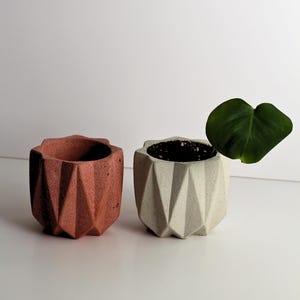 May include: Two geometric concrete planters, one in a terracotta color and one in a light gray color. The gray planter has a small green plant inside.
