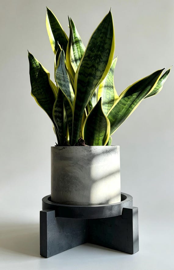 Modular concrete plant stand that doubles as a sculptural base — the modular/stackable angle is a genuinely clever twist on the tired geometric concrete trend.