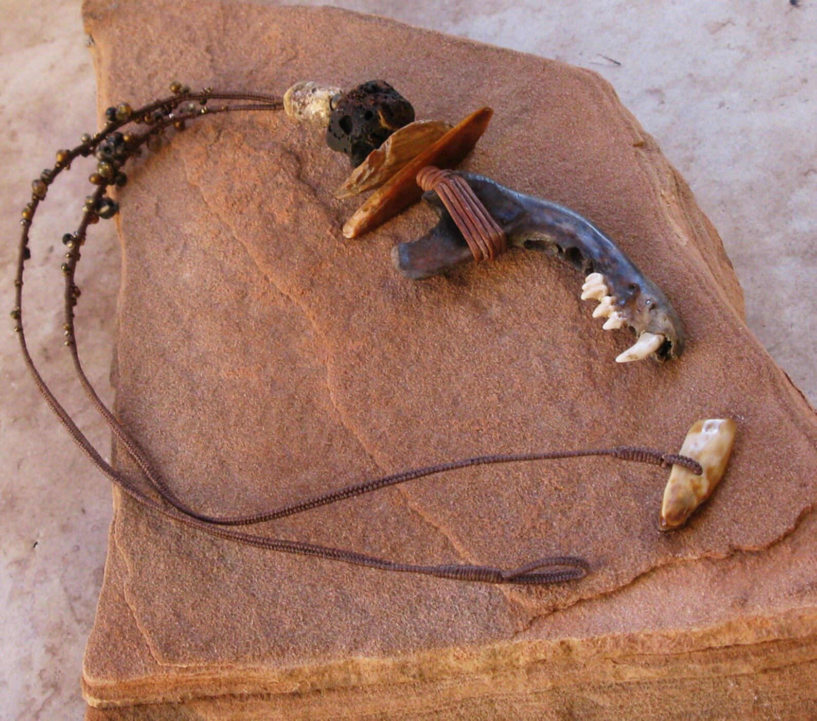 RESERVED Ancient Raccoon Jaw Bone Fossil Ivory Antique | Etsy