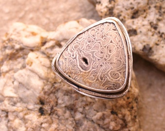 Desert Talismans Petrified Palm Root Ring + Sterling + Adjustable Size 7 + OOAK + Wabi Sabi + Contemporary Jewelry + Artisan + Light Neutral