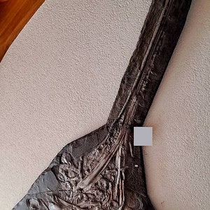 Rare Eurhinosaurus fossil