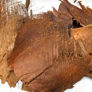 Palm Bark Fiber, Dried Palm Bark, Natural Palm Bark, Bark Pieces for Crafts, Organic Tree Bark, Hawaii Wedding Decor, 150 grams / 5-8 pcs