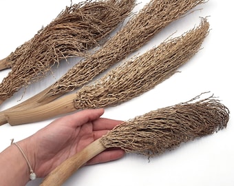 5 Natural Dried Branches, Dried Branches Decor, Date Tree Branches, Dried Home Decor, Natural Home Decor, Dried Arrangement, Boho Decoration