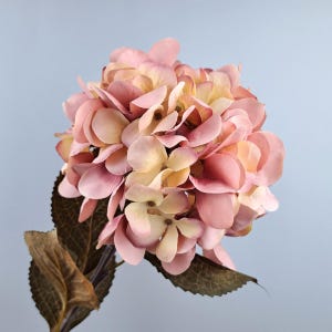 May include: A single stem of faux pink and cream hydrangea flowers with brown leaves.