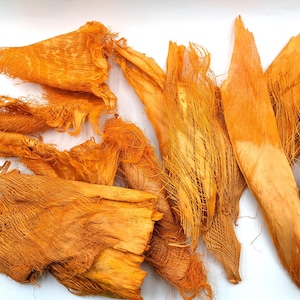 Orange Palm Bark Fiber, Dried Palm Bark, Natural Palm Bark, Autumn Wreath Supply, Fall Installation Supply, Orange Decor, Halloween Supply