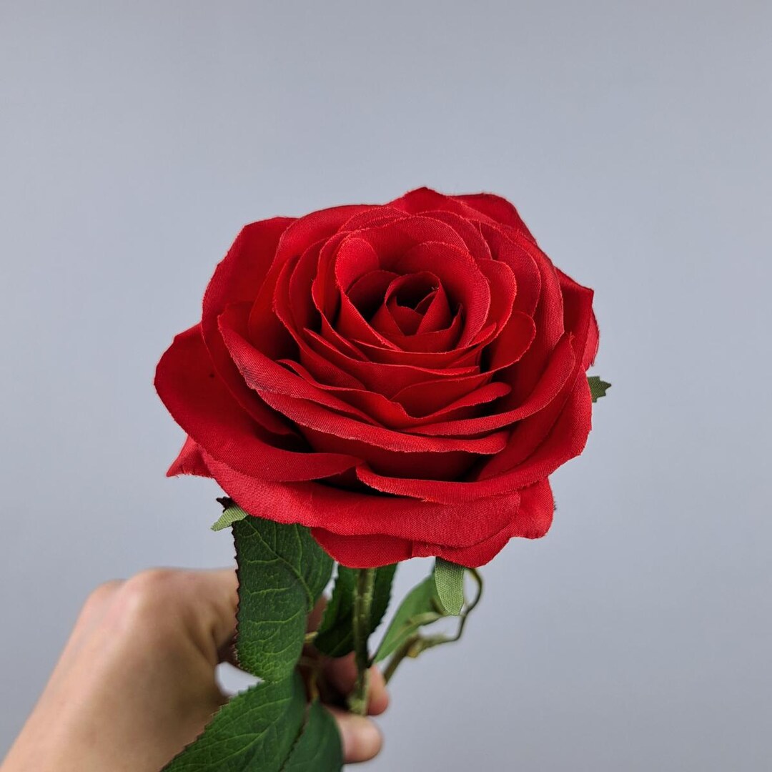 Red Artificial Rose, Everlasting Flowers for Vase, Long Stems Roses ...