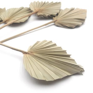 Palm Leaves Dried, Palm Spears, Tropical Palm Leaves, Boho Decoration, Dried Natural Leaves, Tropical Wedding Decor, Hawaii Wedding Decor