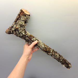 Könnte beinhalten: Ein langer, knorriger Ast mit einem hellgrünen Flechtenbewuchs, der den größten Teil seiner Oberfläche bedeckt.