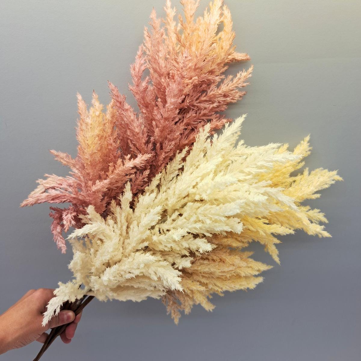 pflanztopf glasiert NEU !! Blumentopf Pflanzschale winterfest grau anthrazit glasiert ø ca – La  Casa main image 1