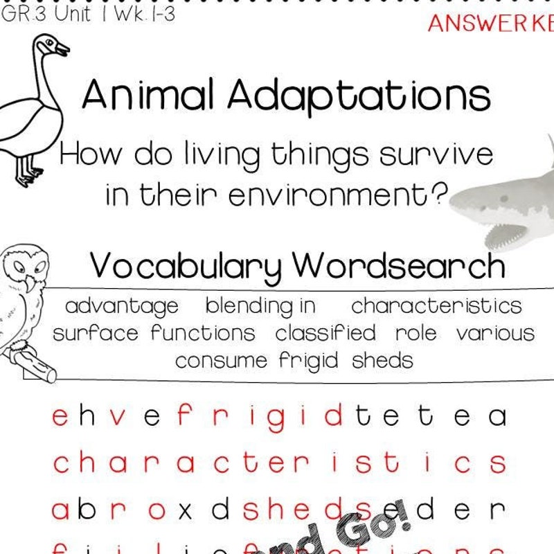 Supersecondgradestuf - Etsy