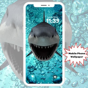 Shark Phone Wallpaper | Funny Mobile Background PNG | iPhone & Android Lockscreen | Digital Download | Fun Animal Screensaver Art