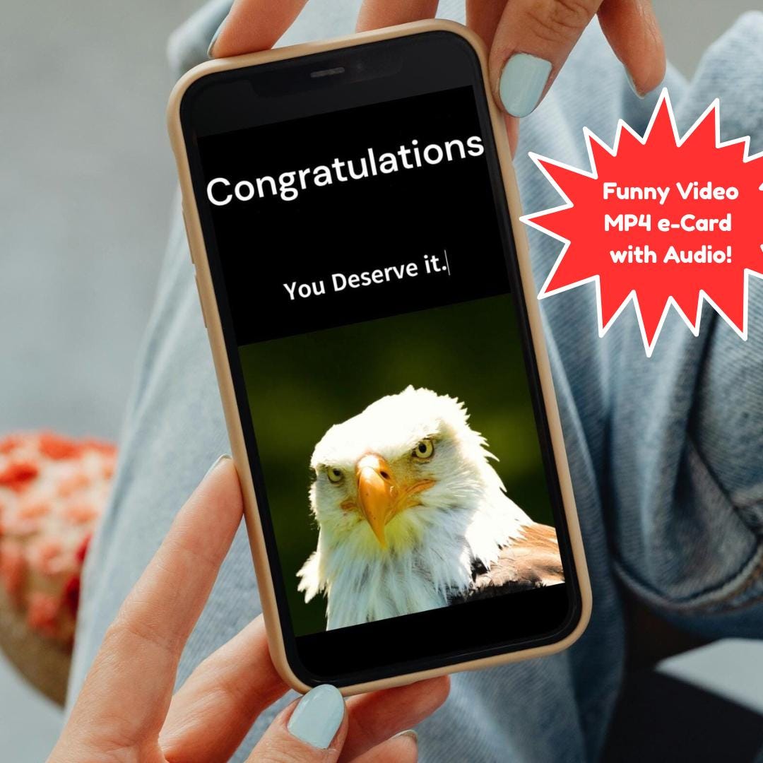 Congratulations Card Funny Ecard Animated Eagle Hilarious Animal Video