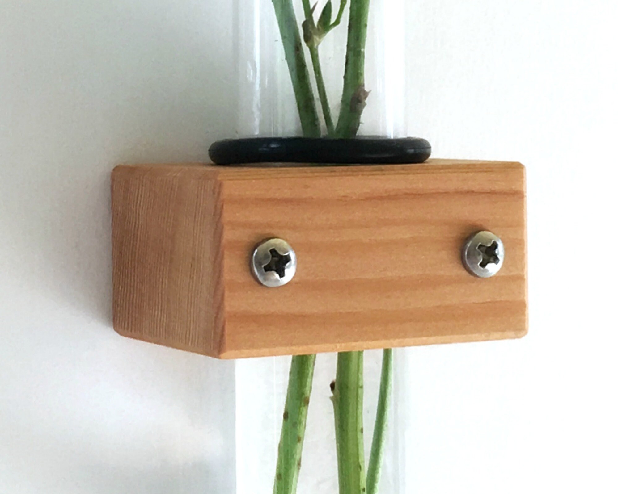 Small Wall Vase Test Tube Flower Vase Made in USA Etsy