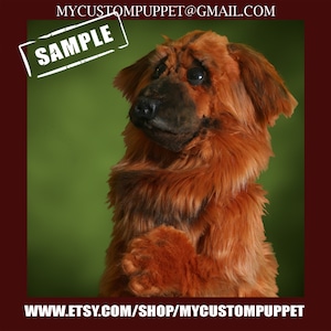 Custom pet portrait DOG puppet custom made puppets custom made muppet professional custom puppet pro puppet custom rod puppet