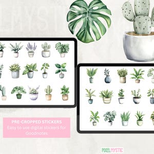 May include: A digital sticker set featuring 36 watercolor illustrations of various potted plants. The stickers are pre-cropped and ready to use in Goodnotes.