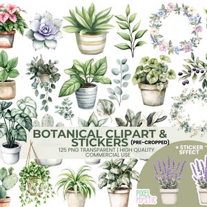 Boho Botanical Digital Stickers, Plant Digital Planner Stickers, Pre-cropped Goodnotes Stickers, Eucalyptus PNG, Garden Stickers, Floral PNG