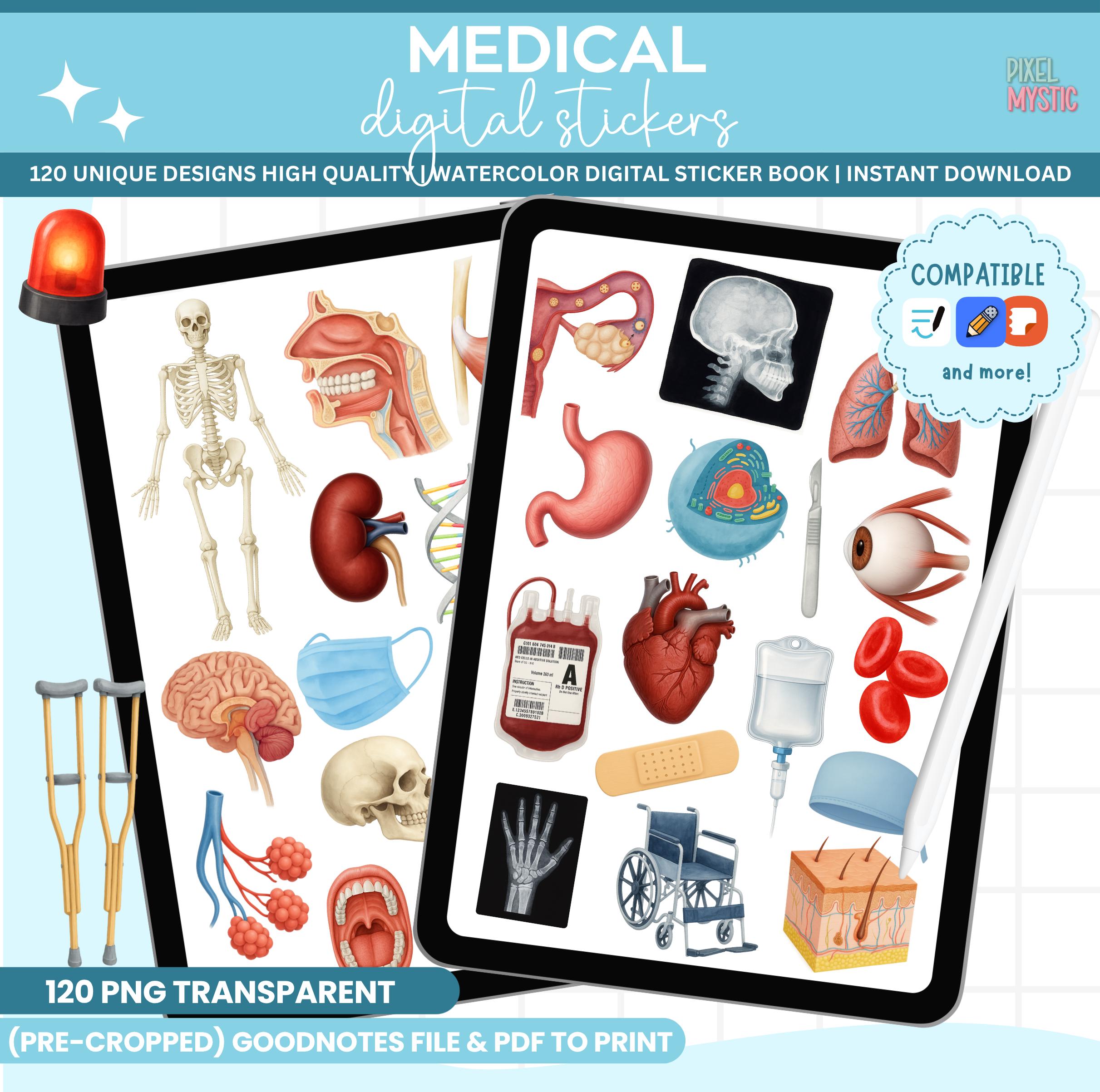 Medical Digital Stickers, Anatomy Medical Goodnotes Stickers, Biology ...