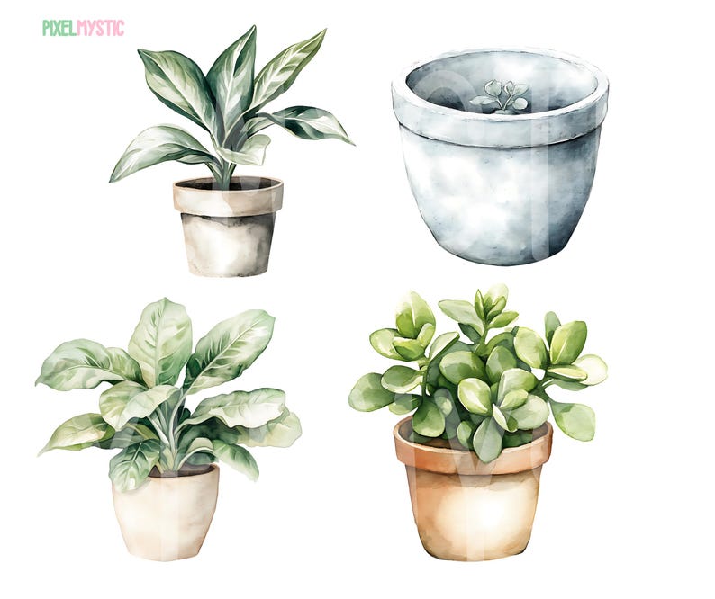May include: Four watercolor illustrations of potted plants. The plants are in different styles of pots, some are white and some are brown. The plants are all green and have a variety of leaf shapes.