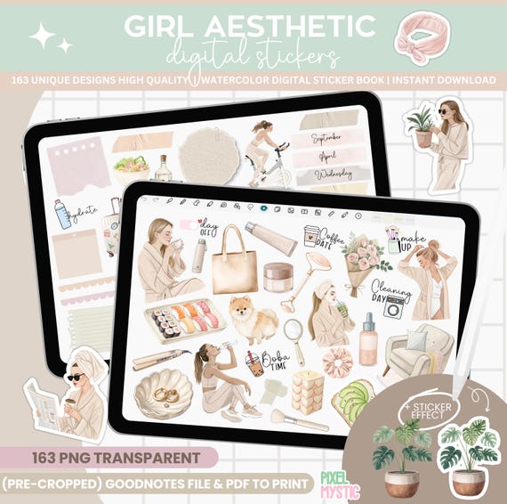 Digital planner stickers, GIRL AESTHETIC planner stickers, Goodnotes stickers, Journal stickers, everyday stickers, Minimalist Stickers