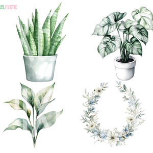 May include: A set of four watercolor illustrations featuring houseplants. The illustrations include a snake plant in a white pot, a monstera plant in a white pot, a leafy green plant in a white pot, and a wreath of white flowers and green leaves.