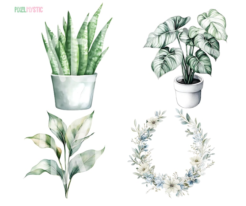 May include: A set of four watercolor illustrations featuring houseplants. The illustrations include a snake plant in a white pot, a monstera plant in a white pot, a leafy green plant in a white pot, and a wreath of white flowers and green leaves.