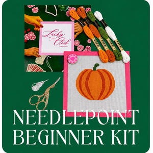 Pumpkin Needlepoint Beginner Kit