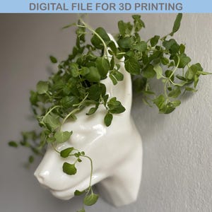 May include: White ceramic planter shaped like a dog's head with green leafy plants growing out of the top.