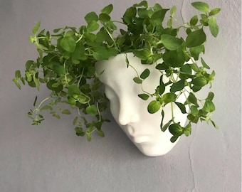 May include: A white ceramic wall planter shaped like a human face, filled with green leafy plants. The planter is mounted on a gray wall. The text "DIGITAL FILE FOR 3D PRINTING" is at the top of the image.