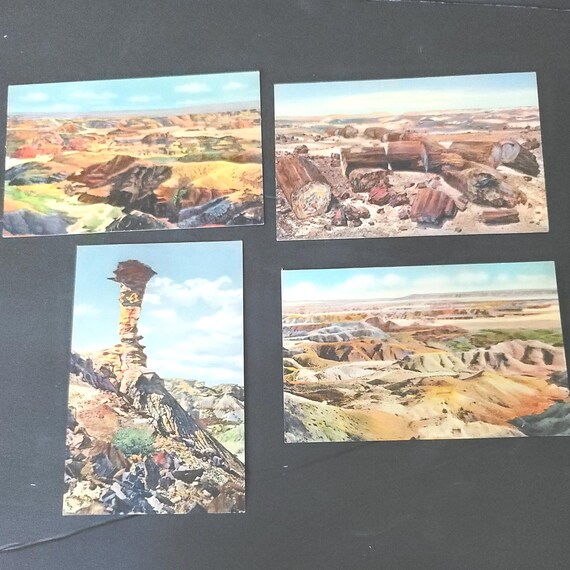 Set of 4 1940s Postcards Painted Desert and Petrified Forest