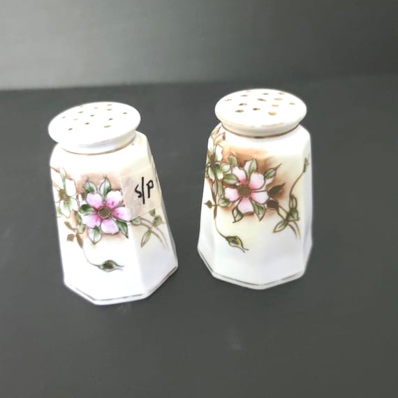 Nippon Hand Painted Salt and Pepper