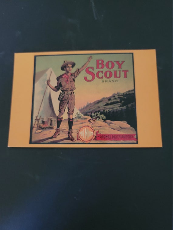 Boy Scout Orange Crate Label Postcard