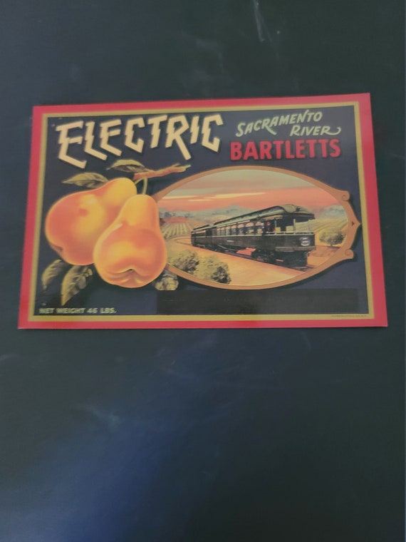Fruit Label Postcard