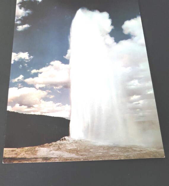 9 x 6.5" Postcard of Old Faithful Geyser