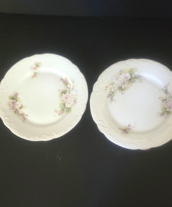 7.75-Inch Salad Plates, Painted Flowers, Scalloped Gilded Edges
