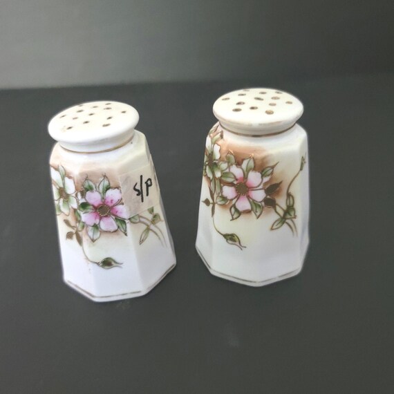 Nippon Hand Painted Salt and Pepper