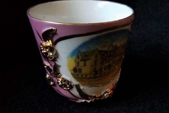 Cornwall General Hospital Teacup