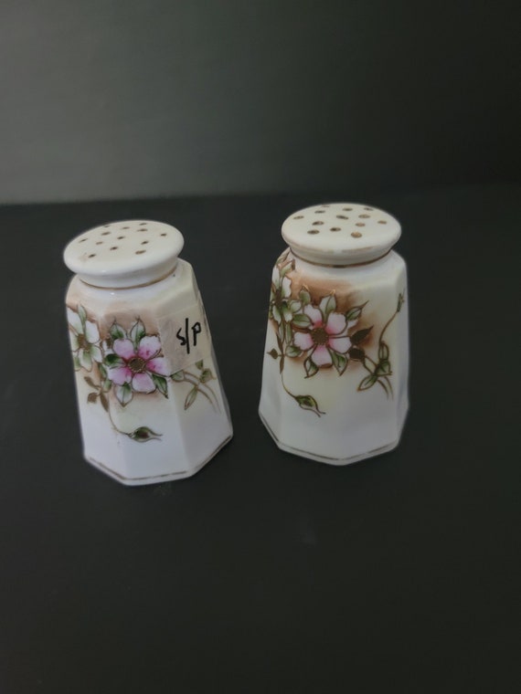 Nippon Hand Painted Salt and Pepper