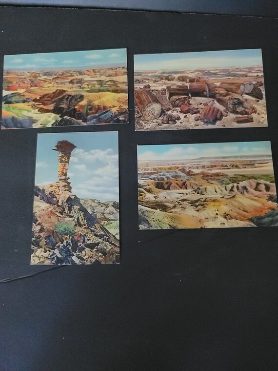 Set of 4 1940s Postcards Painted Desert and Petrified Forest