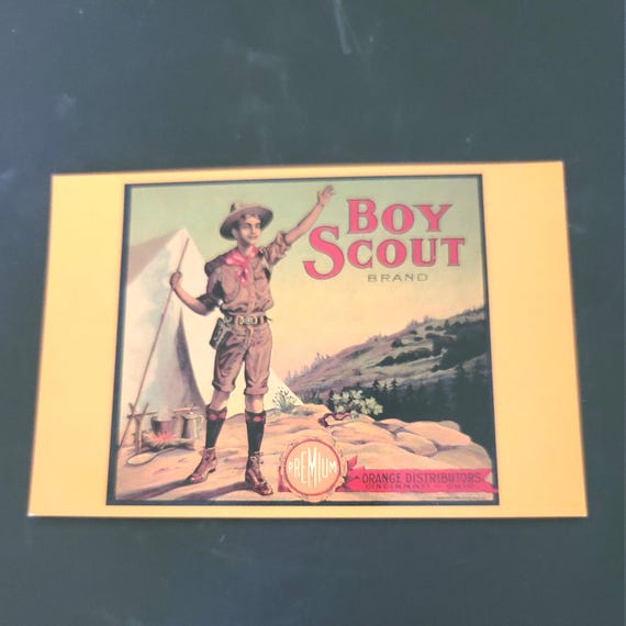 Boy Scout Orange Crate Label Unused Postcard