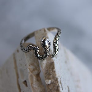 Puede incluir: Un anillo de metal plateado con forma de serpiente enroscada. La banda presenta un patrón de escamas detallado y texturizado en toda su longitud, con la cabeza de la serpiente posicionada al frente, mostrando ojos definidos y un diseño de hocico puntiagudo.