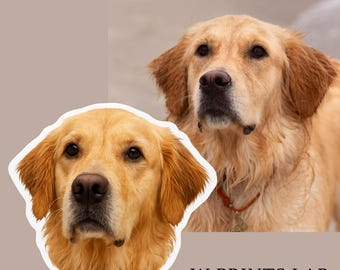 Custom Pet Sticker, Custom Pet Photo Stickers, Custom Dog Sticker, Custom Cat Sticker, vinyl sticker, waterproof pet photo sticker