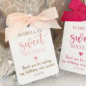 Sweet 16 Party Favors Bags, Sweet Sixteen Birthday Party Favor Bags, Pink Birthday Party Favors
