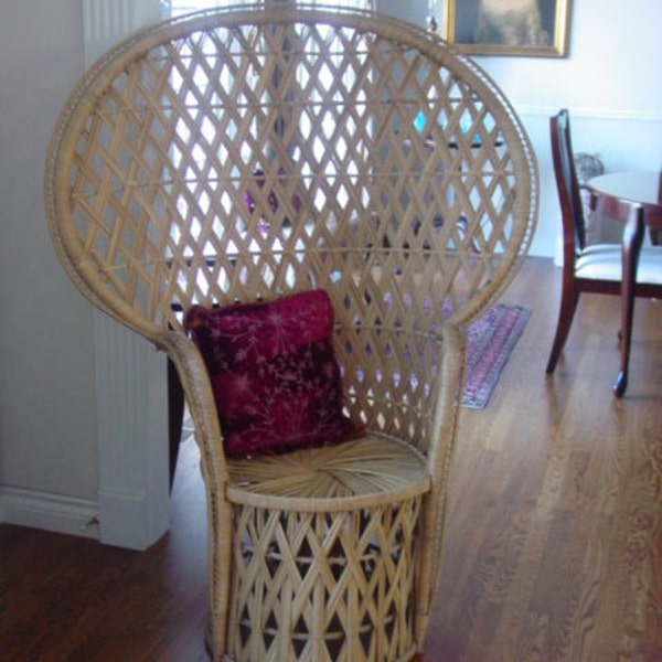 Rattan, Princess, Peacock, Butterfly, or Fan Chair  REDUCED RESERVED for Nikki