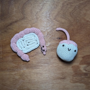 Handcrafted Crocheted and Stuffed Internal Organs Amigurumi - Cotton edition
