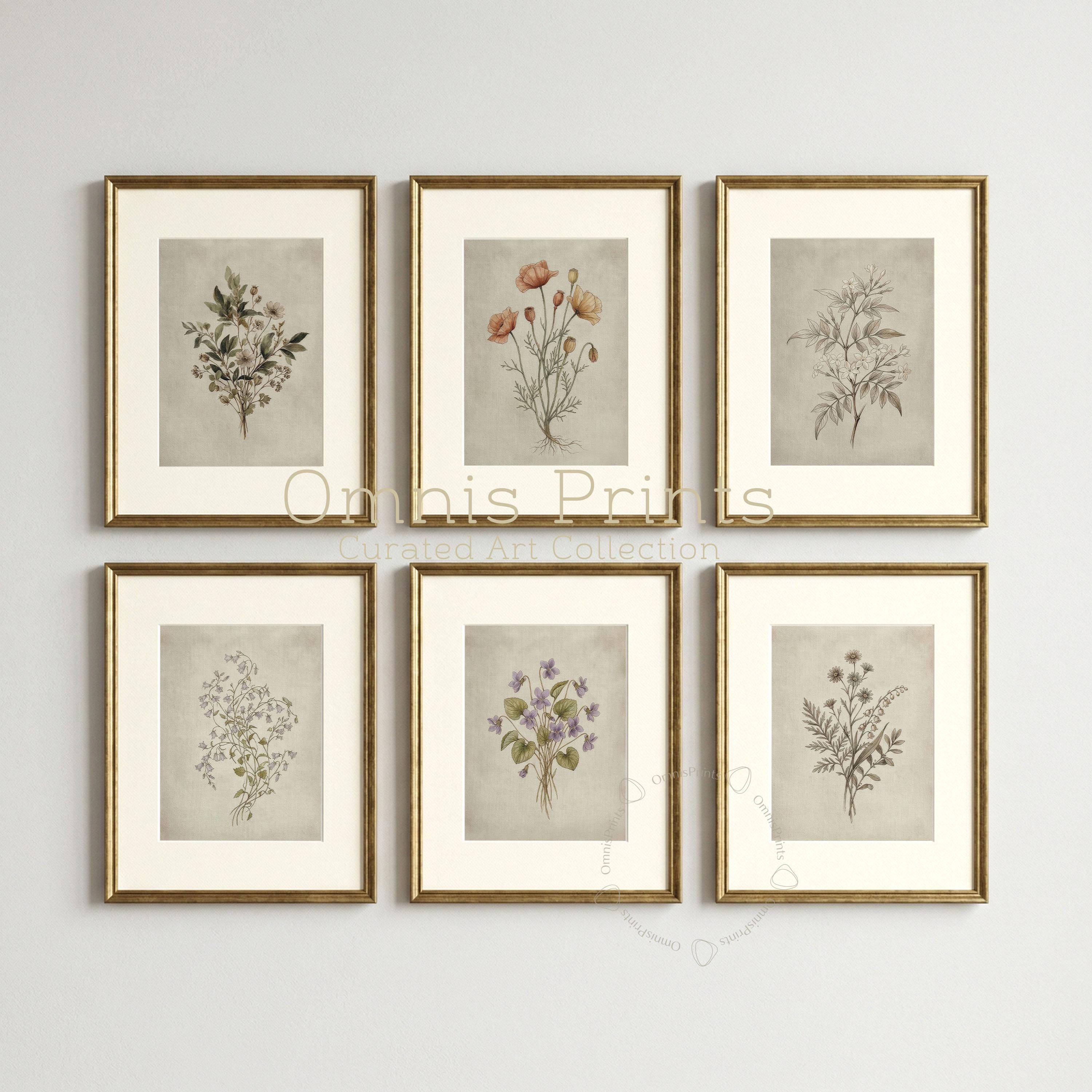 Set of 6 Vintage Botanical Prints - Neutral Floral Gallery Wall Art ...