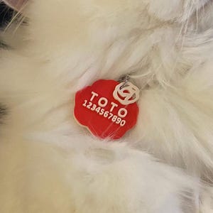 May include: A red, cloud-shaped pet identification tag featuring the white embossed text TOTO and the number 1234567890. The tag includes a small white circular emblem at the top and is attached to a metal ring, resting against white fur.