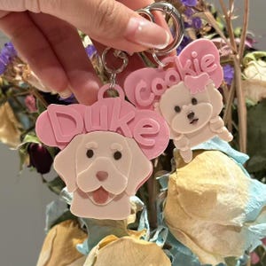 Cartoon Pet ID Tag/Keychain - Design your Pet Custom Color 3D Printed tag, Cute & Kawaii Dog/Cat Tag, Pet Gift, Pet Keepsake