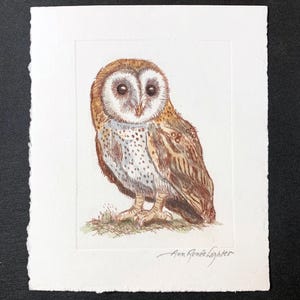 Barn Owl / Hand Painted Print