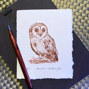Barn Owl / Drypoint Print